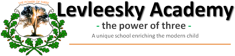Levleesky Academy, Designed & Managed by AWWi (Pty) Ltd